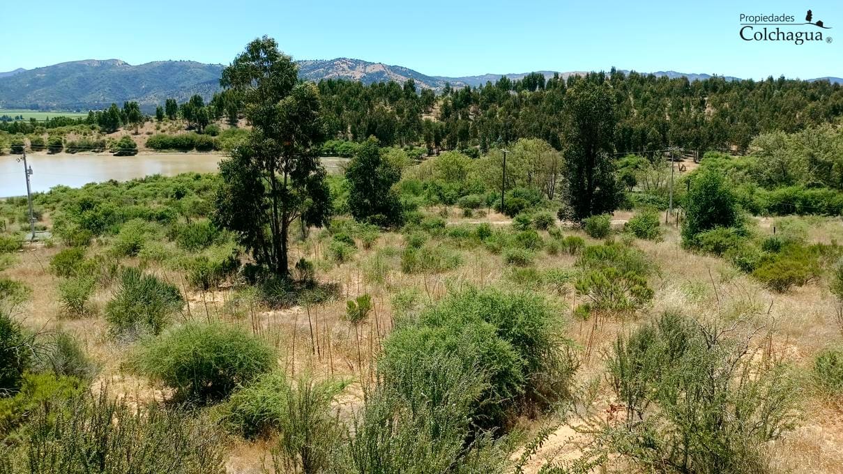 Terreno en venta en Lolol — foto 9