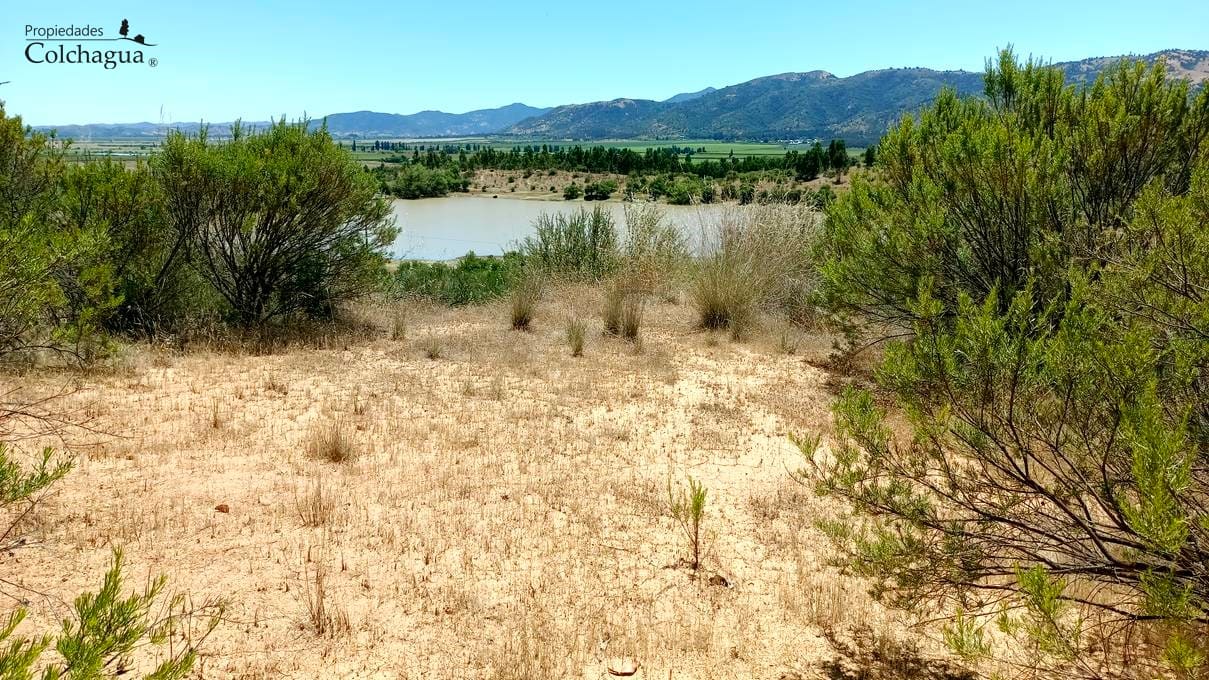 Terreno en venta en Lolol — foto 10