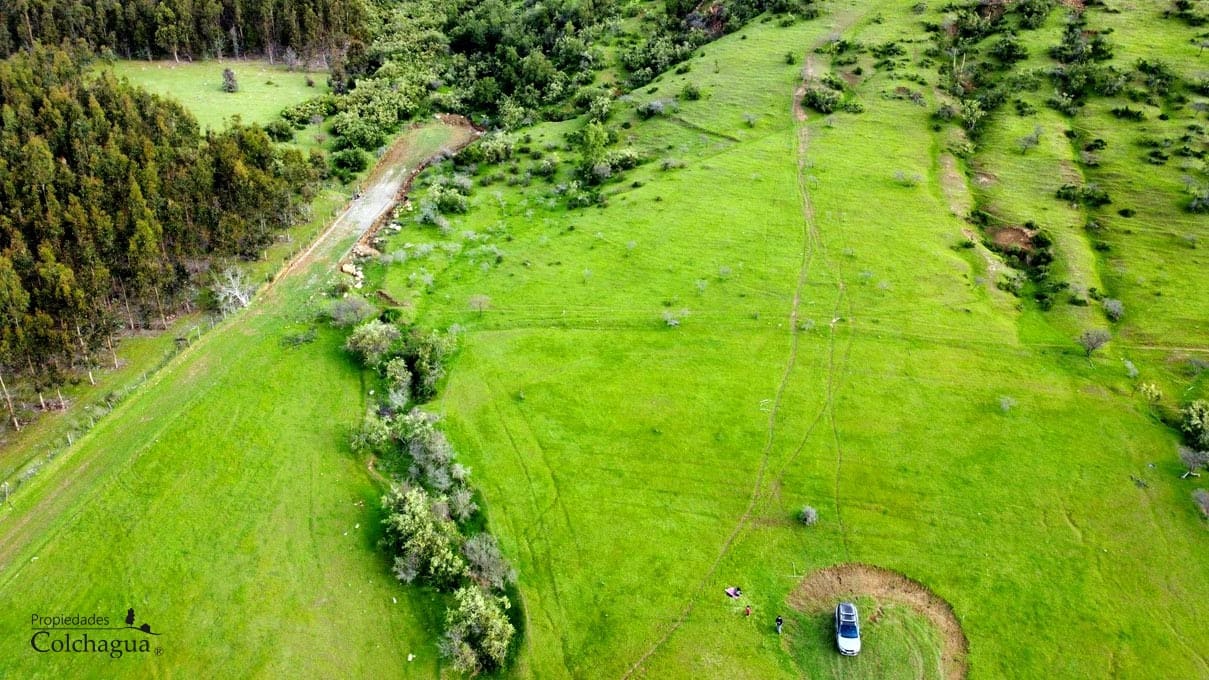 Terreno en venta en Pumanque — foto 4
