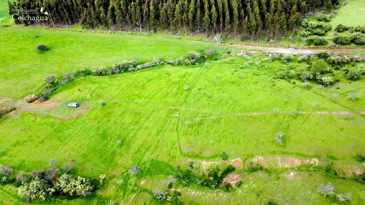 Terreno en venta en Pumanque — foto 5