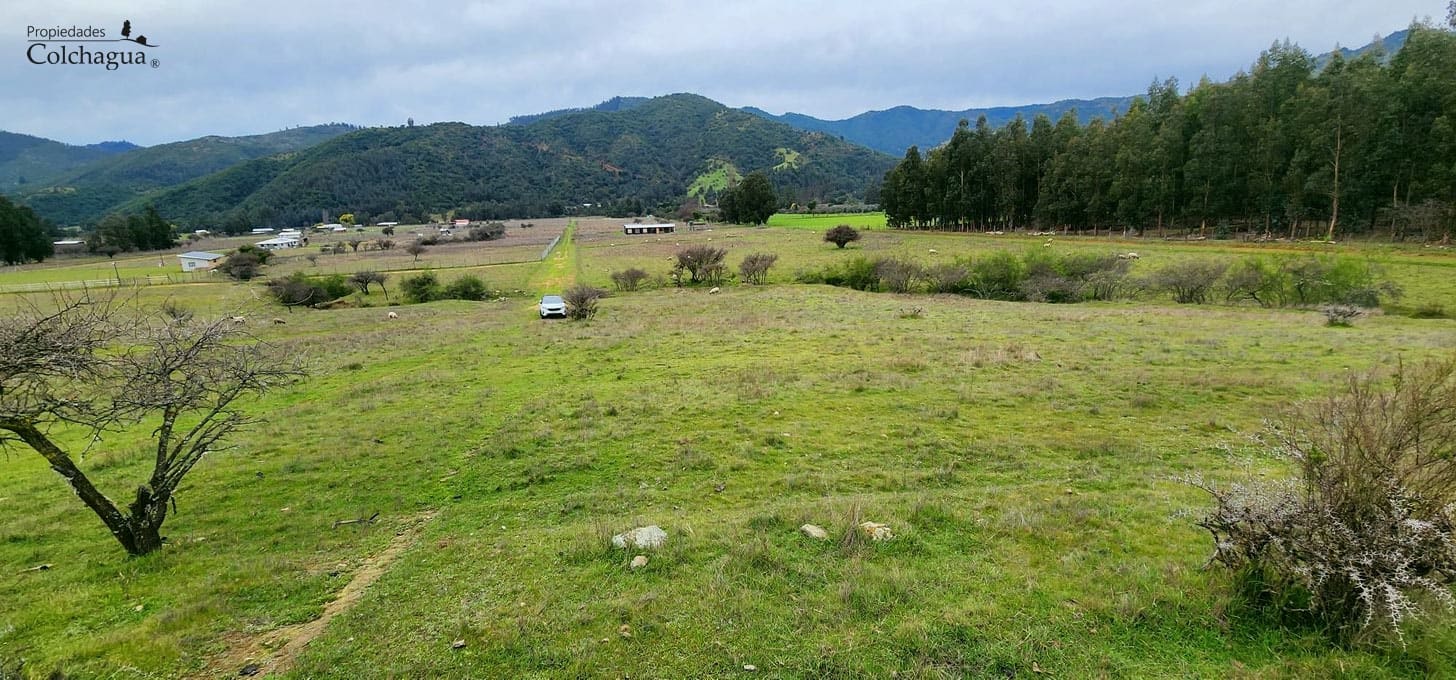 Terreno en venta en Pumanque — foto 7
