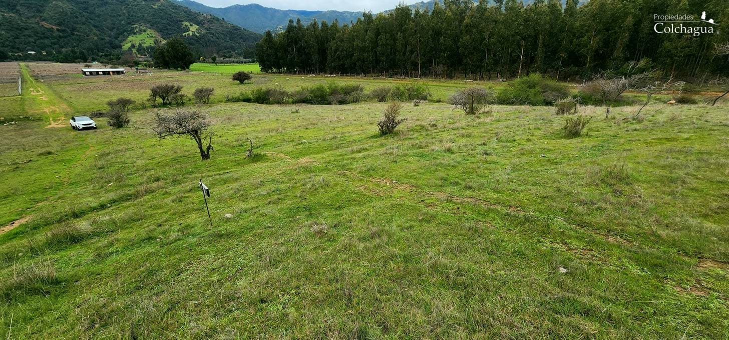 Terreno en venta en Pumanque — foto 10