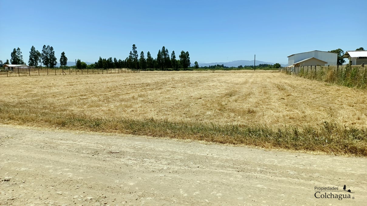 Terreno en venta en Peralillo — foto 1