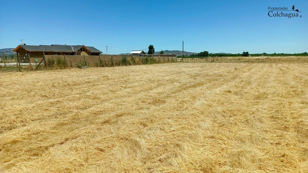 Terreno en venta en Peralillo — foto 6