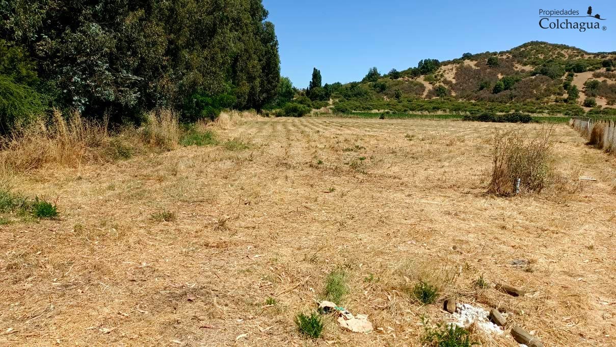 Terreno en venta en Palmilla — foto 4