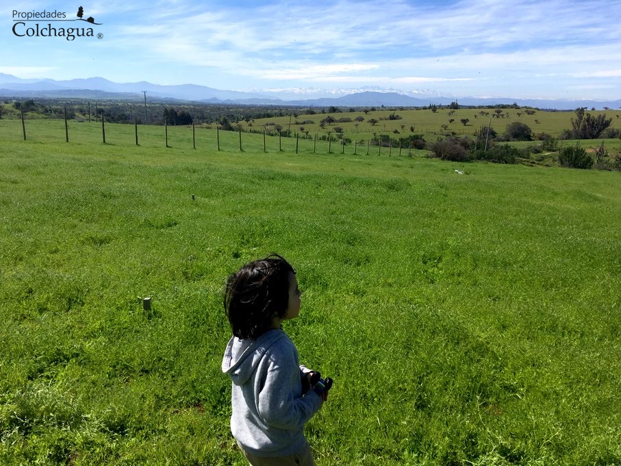 Terreno en venta en La Estrella — foto 10