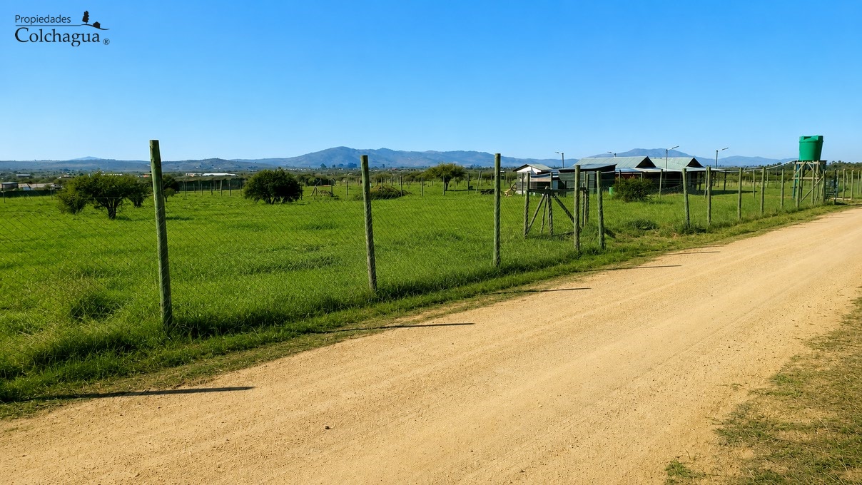 Terreno en venta en Marchihue — foto 4