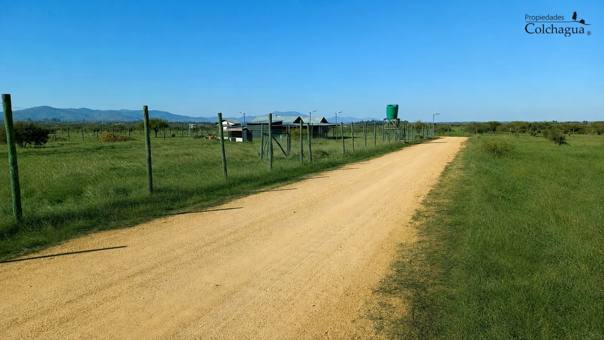 Terreno en venta en Marchihue — foto 5