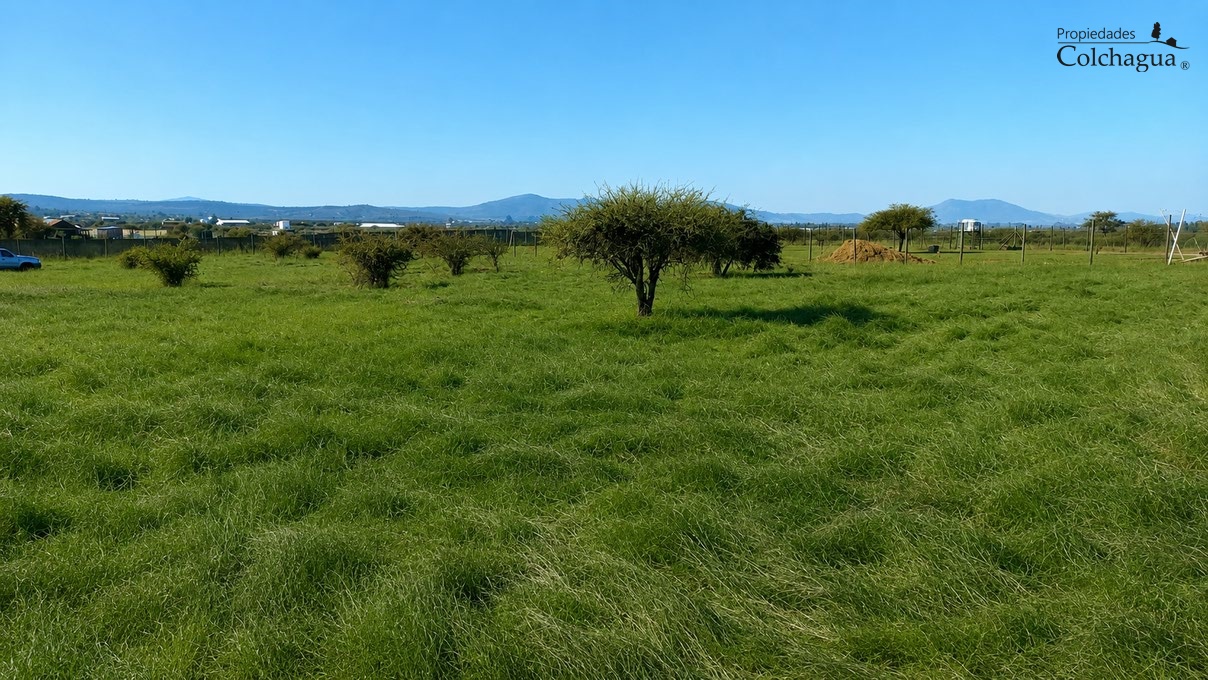 Terreno en venta en Marchihue — foto 8
