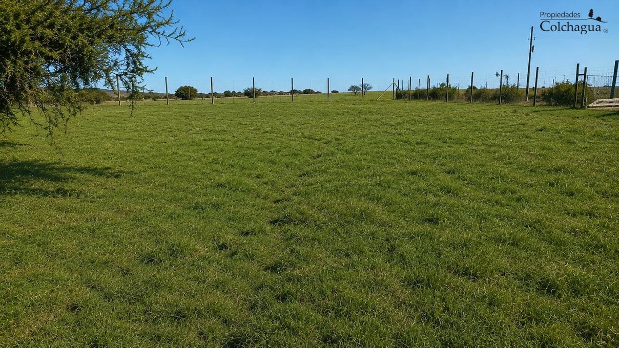 Terreno en venta en Marchihue — foto 10
