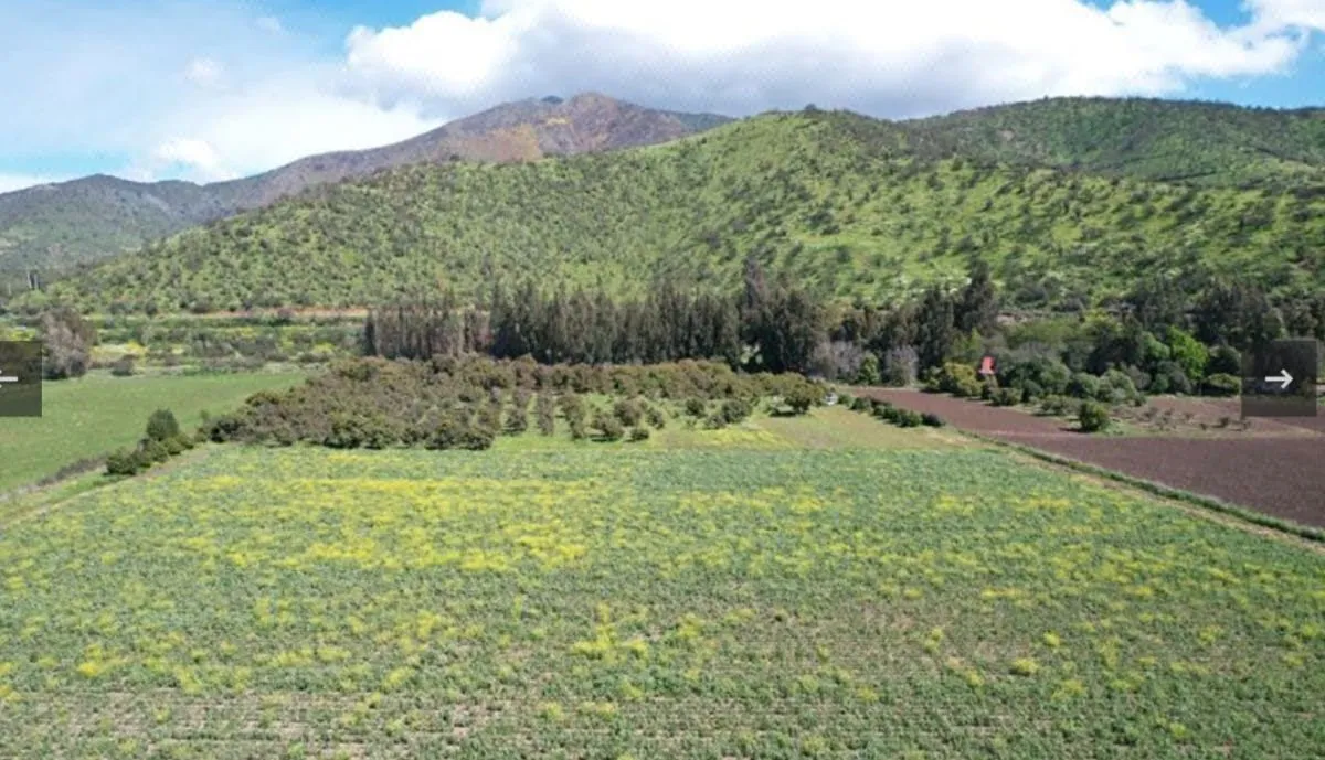 Terreno en venta en Isla de Maipo — foto 1