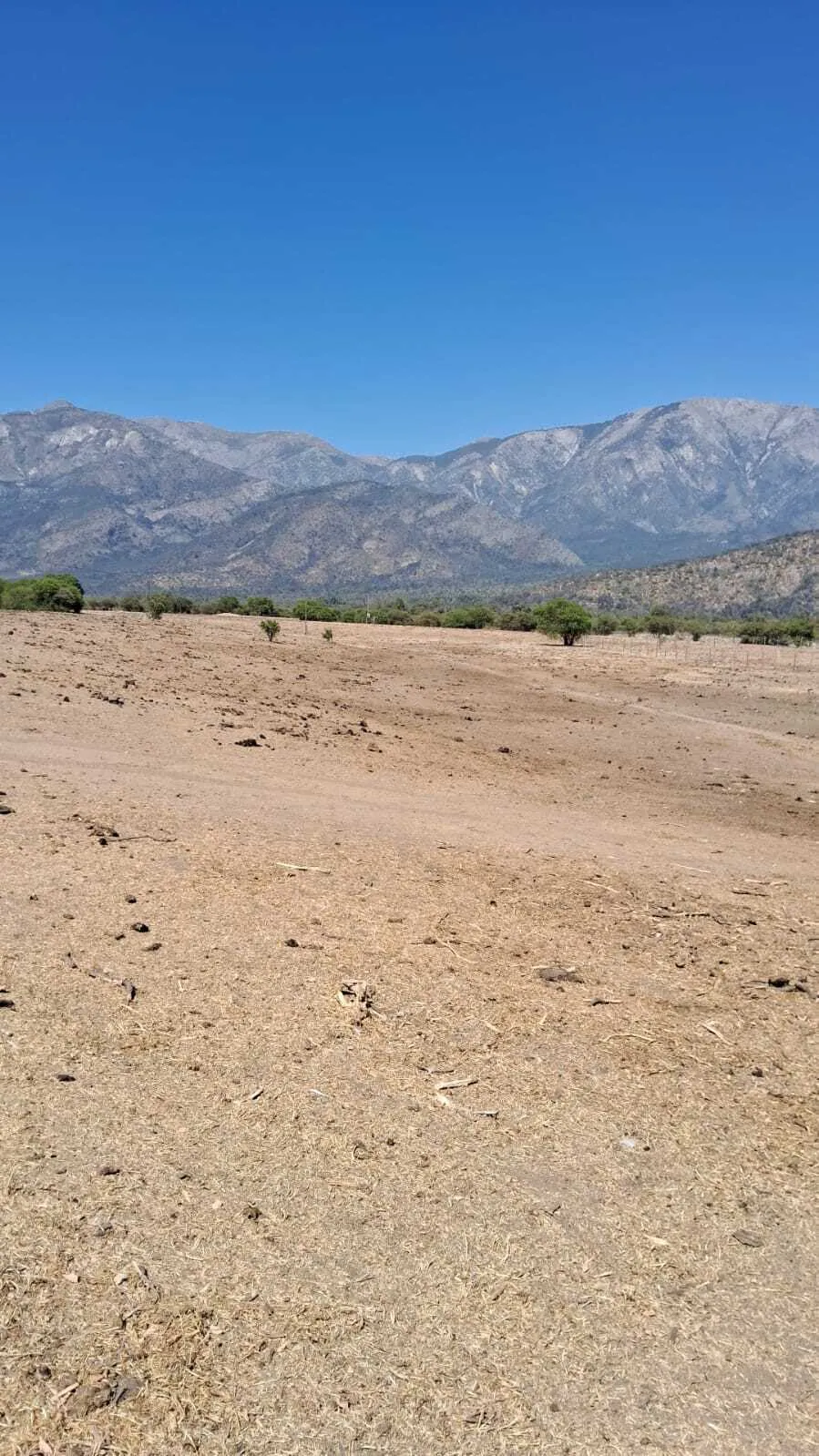 Terreno en venta en Paine — foto 2