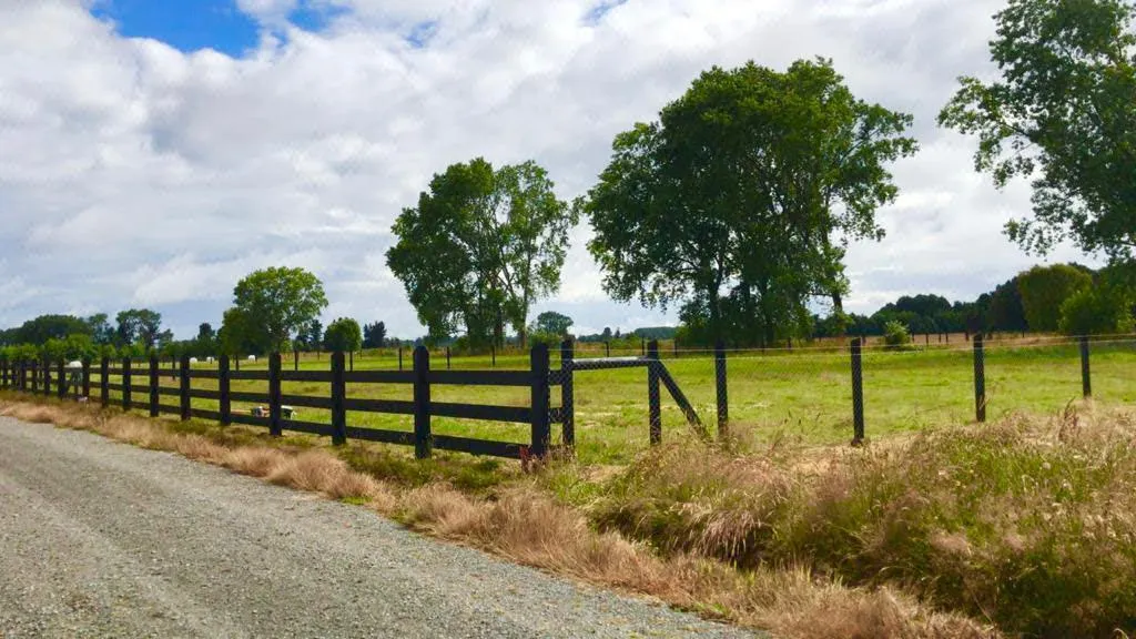 Terreno en venta en Frutillar — foto 3