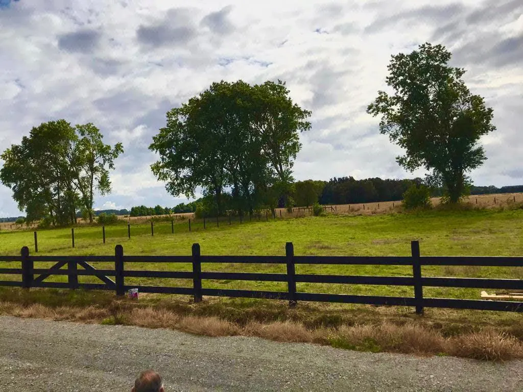 Terreno en venta en Frutillar — foto 5