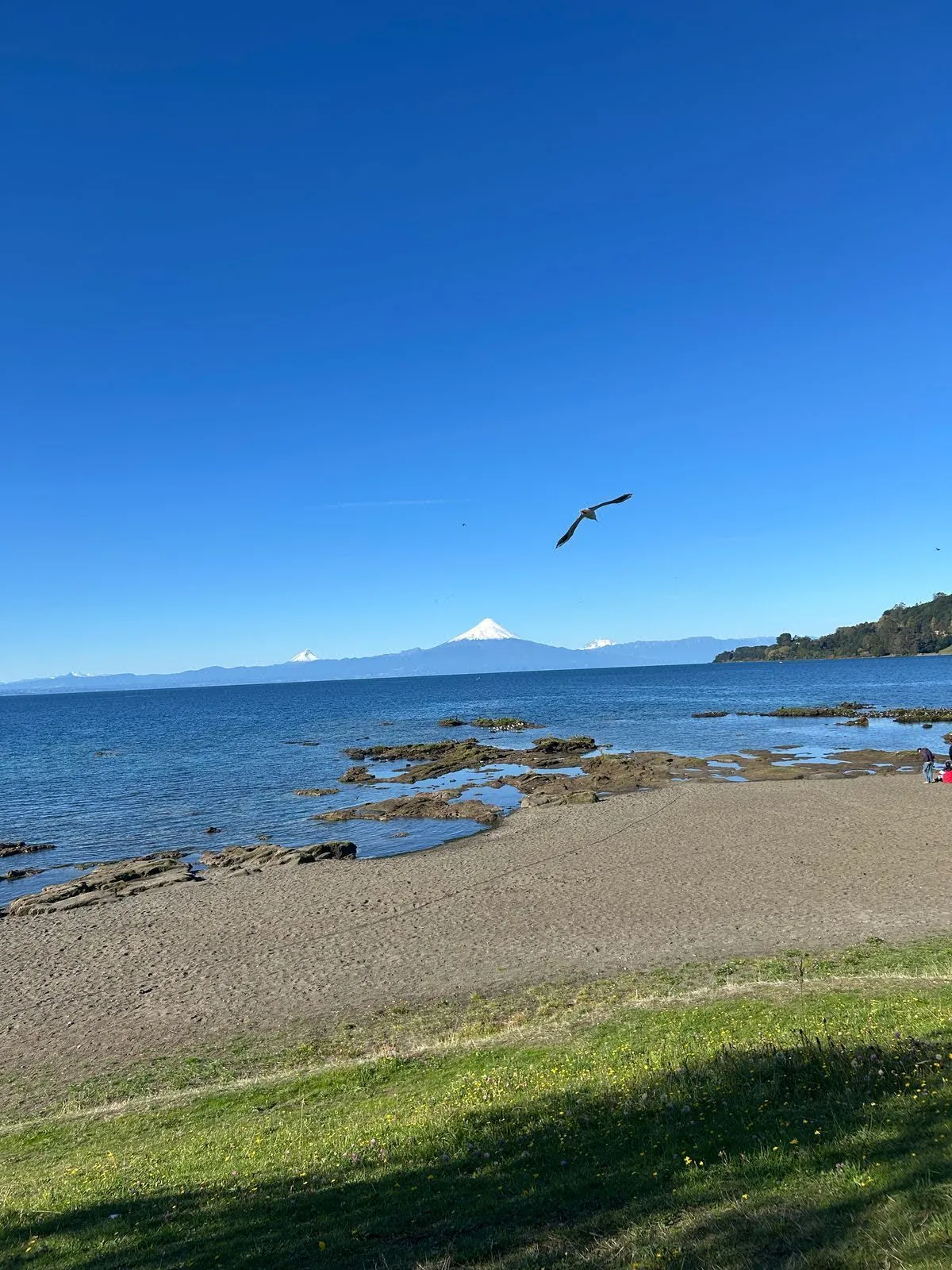 Terreno en venta en Frutillar — foto 6