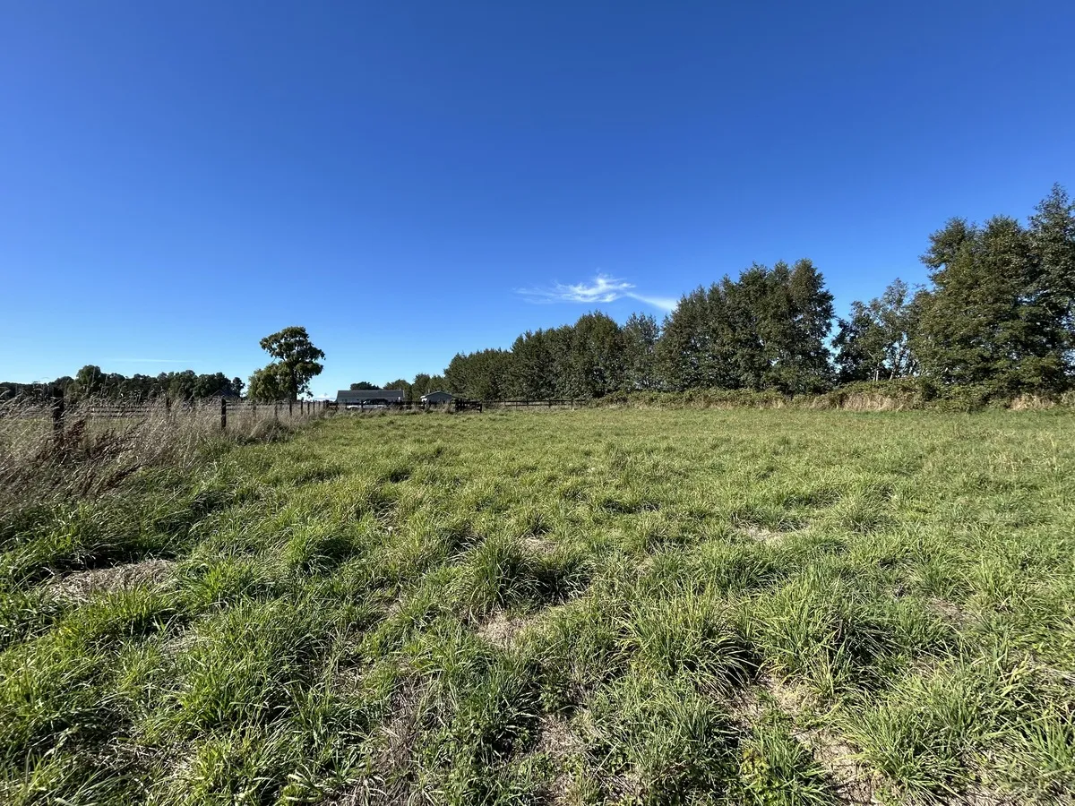 Terreno en venta en Frutillar — foto 1