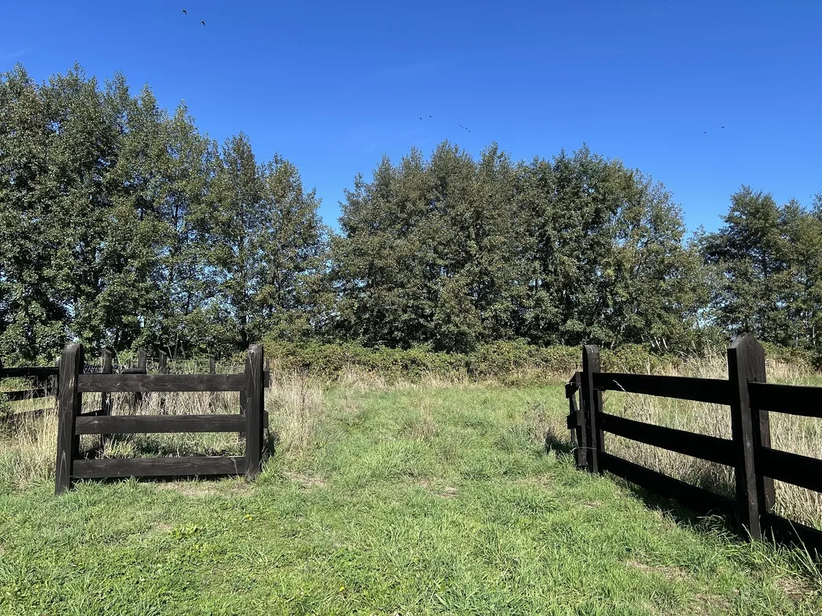 Terreno en venta en Frutillar — foto 3