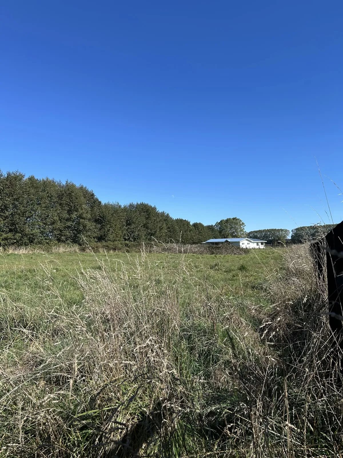 Terreno en venta en Frutillar — foto 4