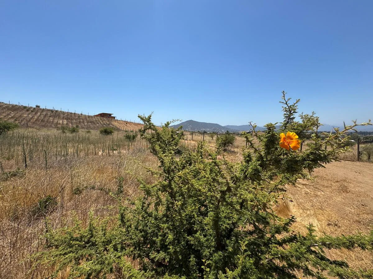 Terreno en venta en Casablanca — foto 6