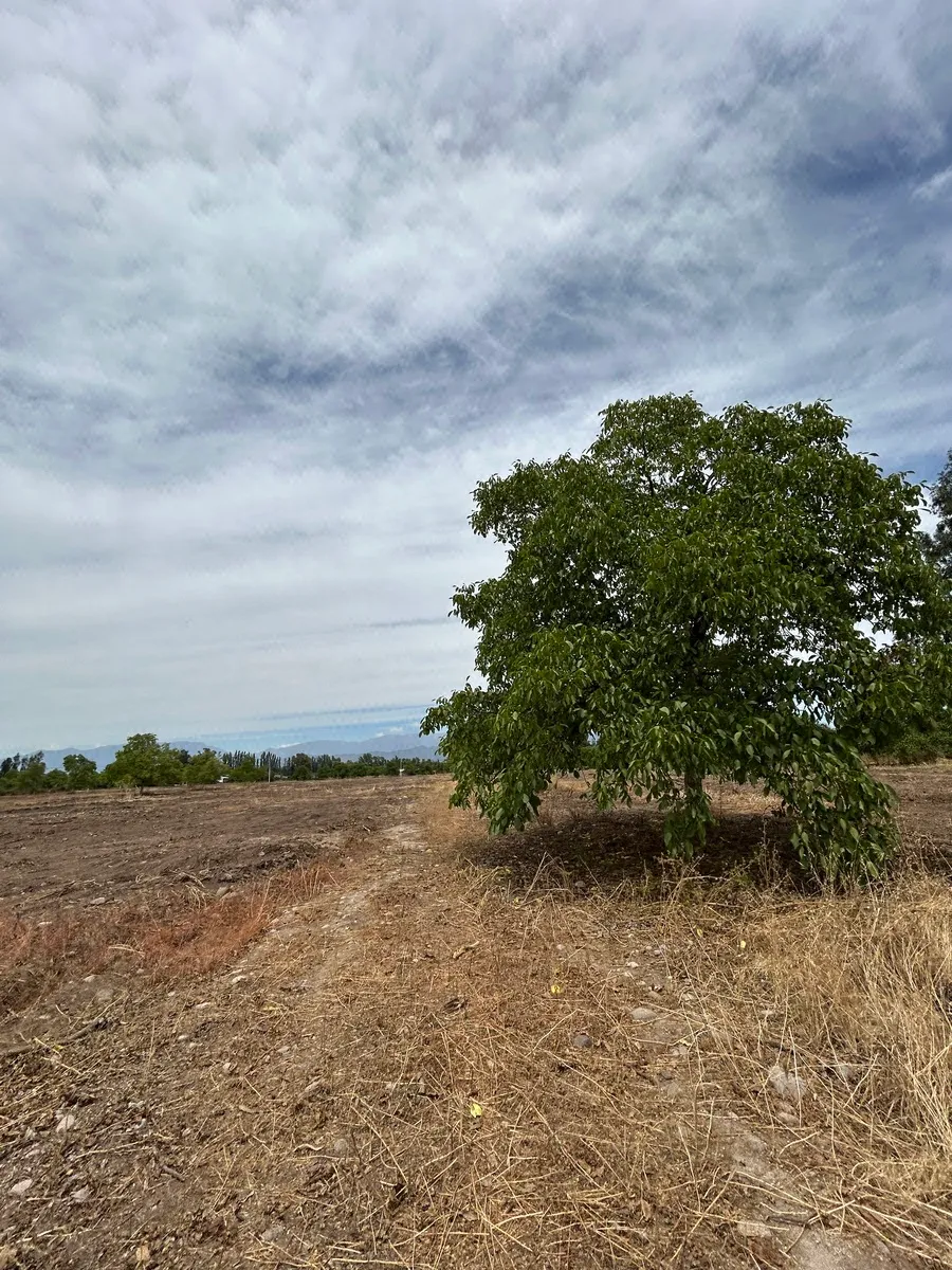 Terreno en venta en Talagante — foto 8