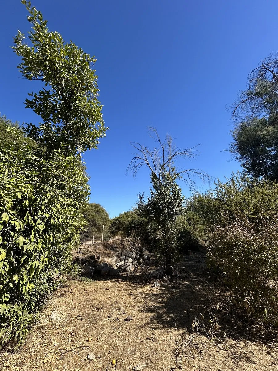 Terreno en venta en Paine — foto 6