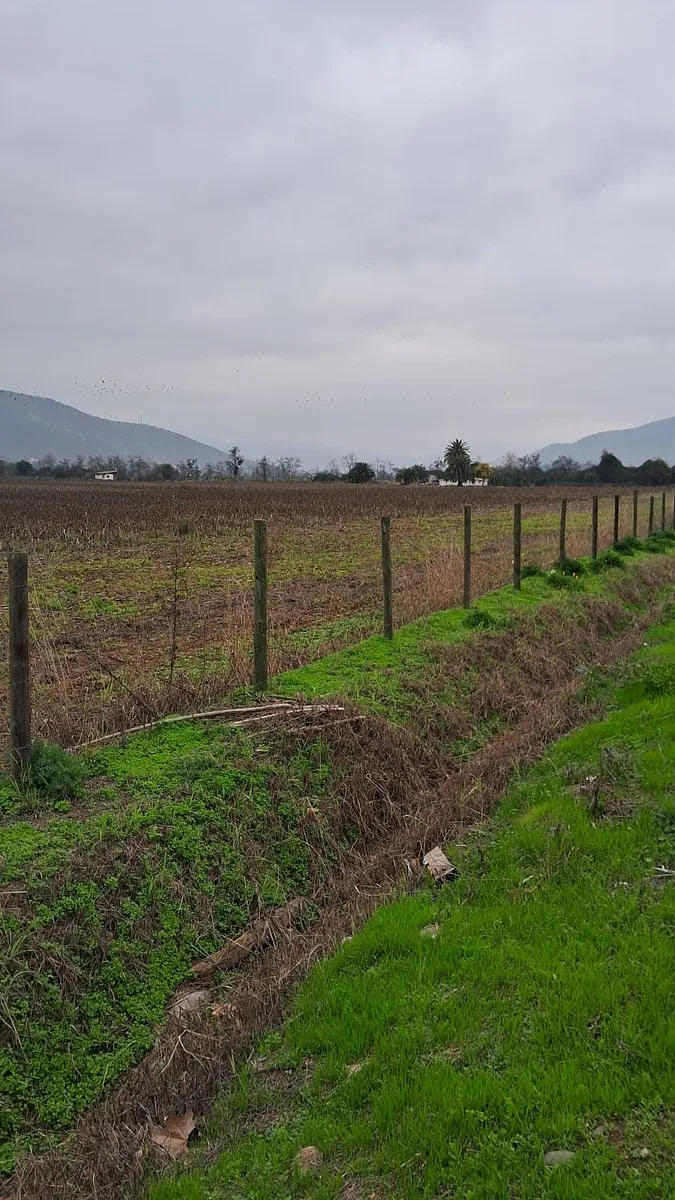 Terreno en venta en Curacaví — foto 1