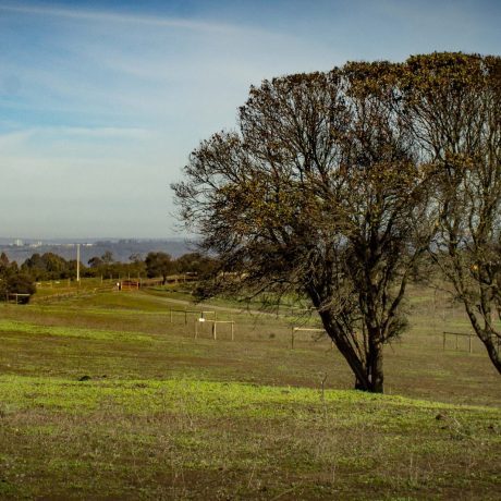 Terreno en venta en Quintero — foto 1