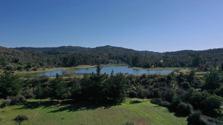 Parcela en venta en Litueche — foto 1