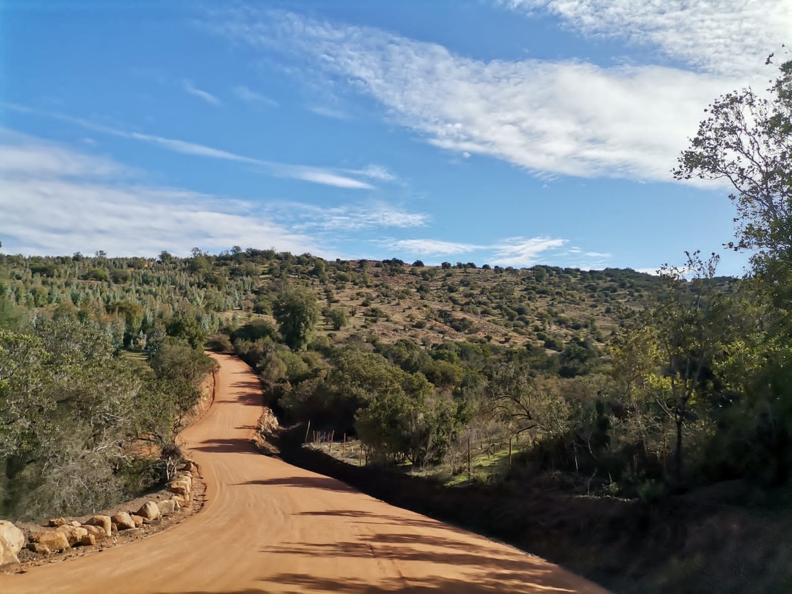 Parcela en venta en Litueche — foto 2
