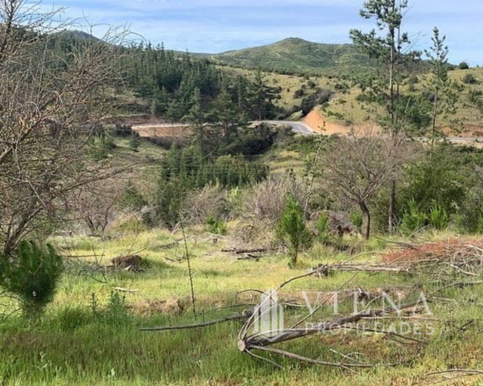 Parcela en venta en San Javier — foto 3