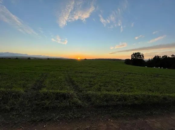 Parcela en venta en Pichilemu — foto 5