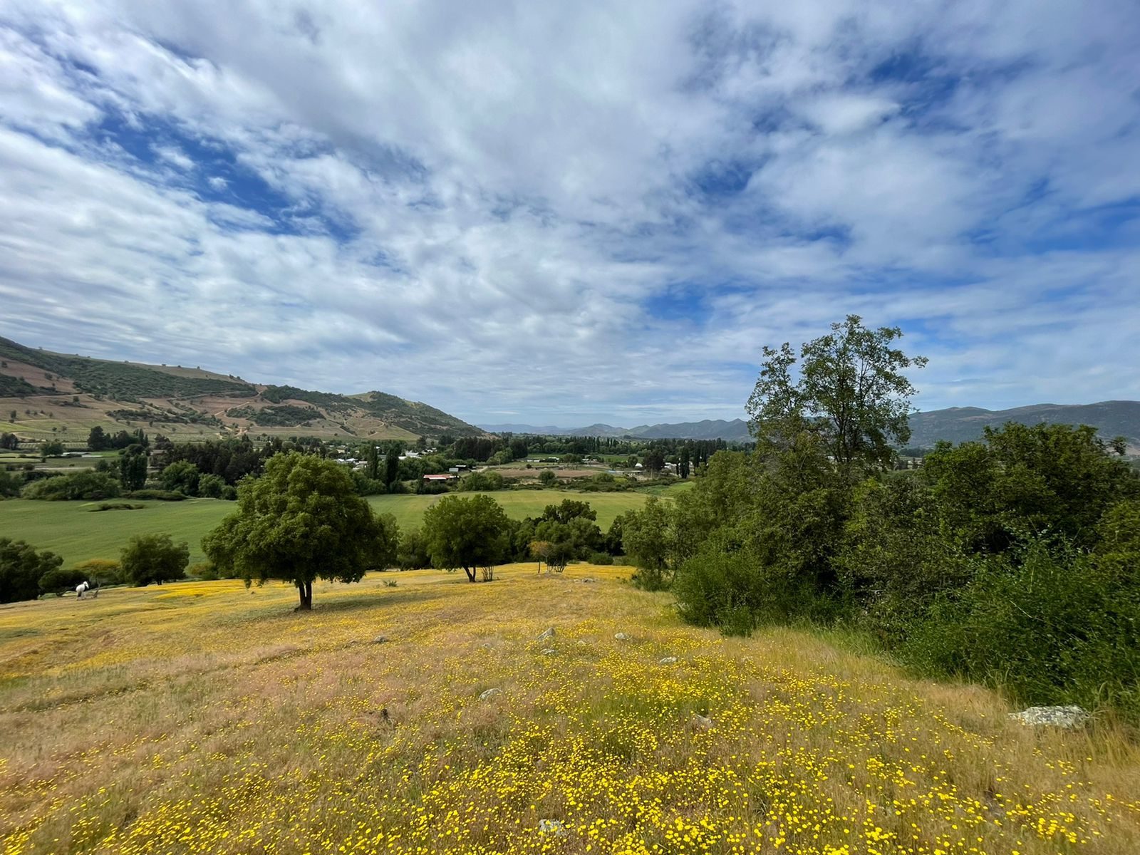 Terreno en venta en Santa Cruz — foto 1
