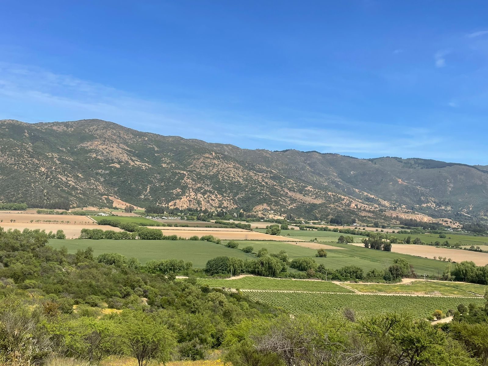 Terreno en venta en Santa Cruz — foto 2