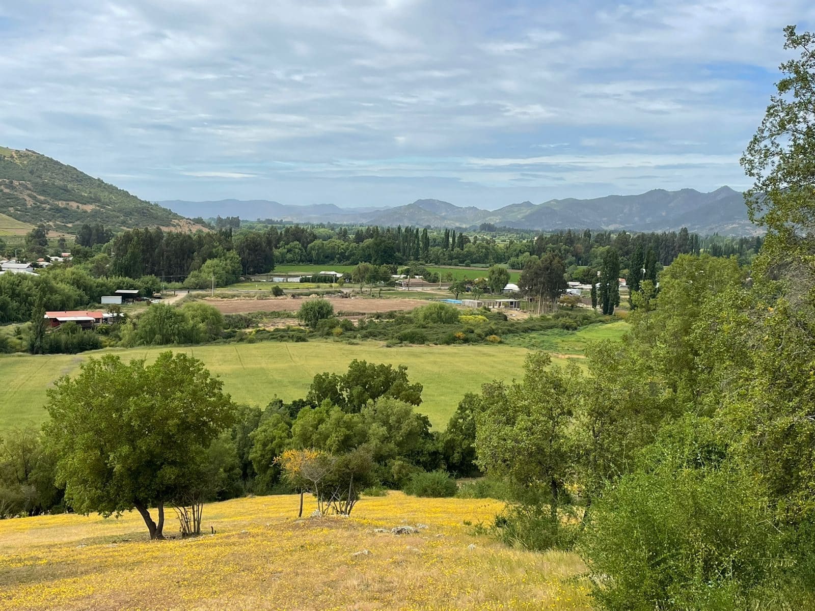 Terreno en venta en Santa Cruz — foto 4