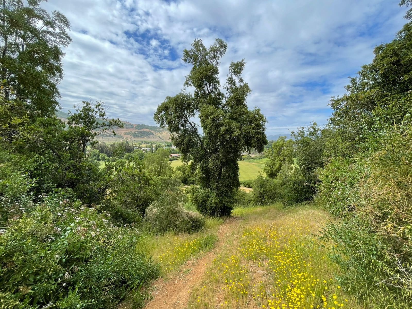 Terreno en venta en Santa Cruz — foto 5