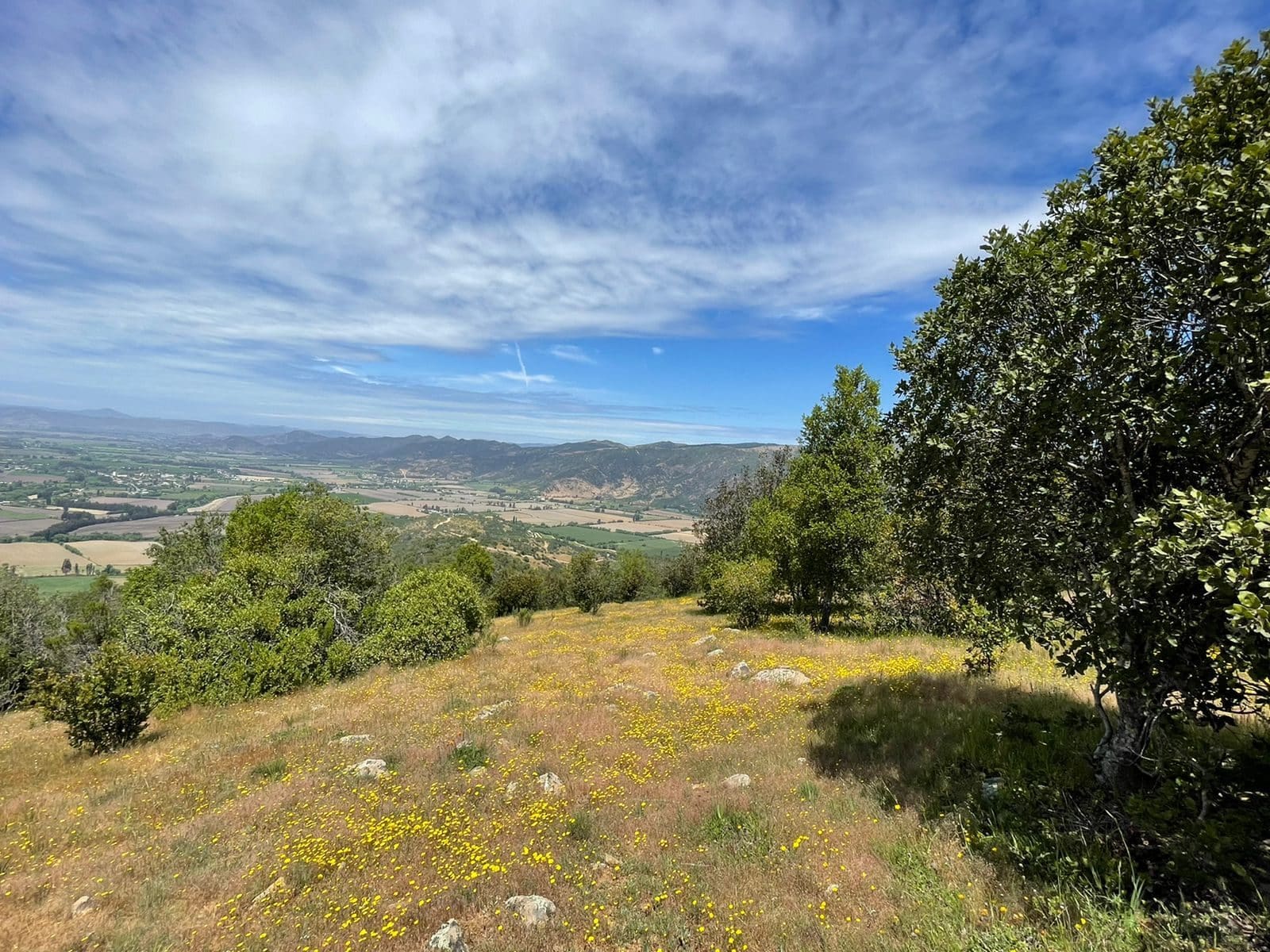 Terreno en venta en Santa Cruz — foto 6