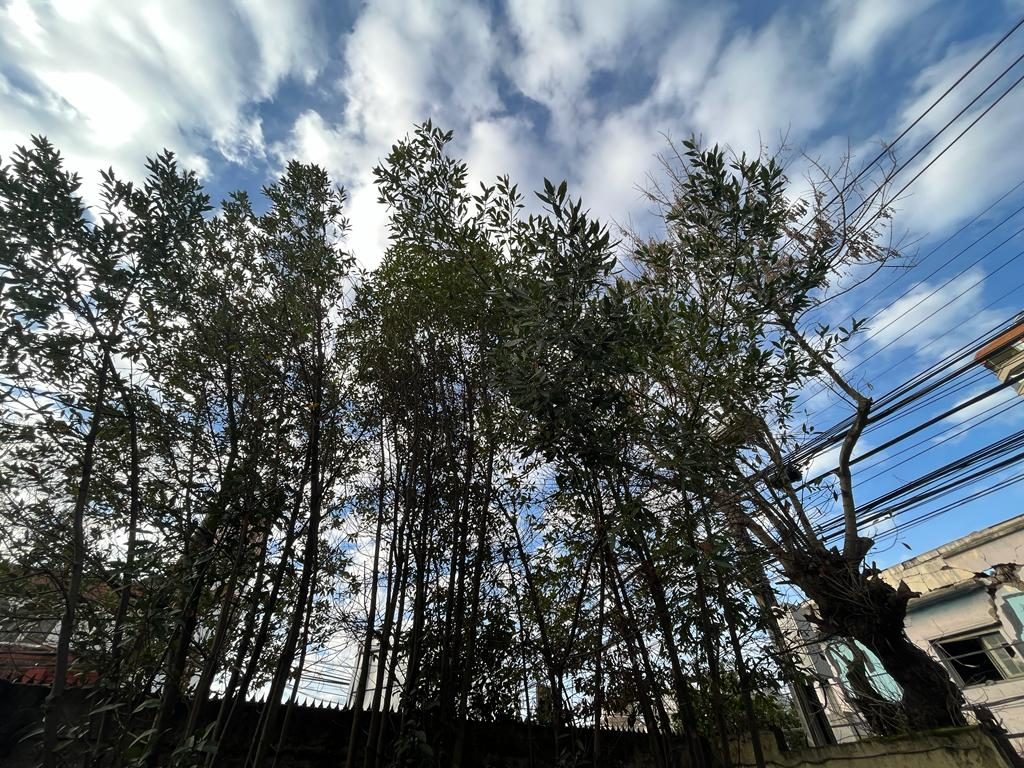 Terreno en venta en Talca — foto 9