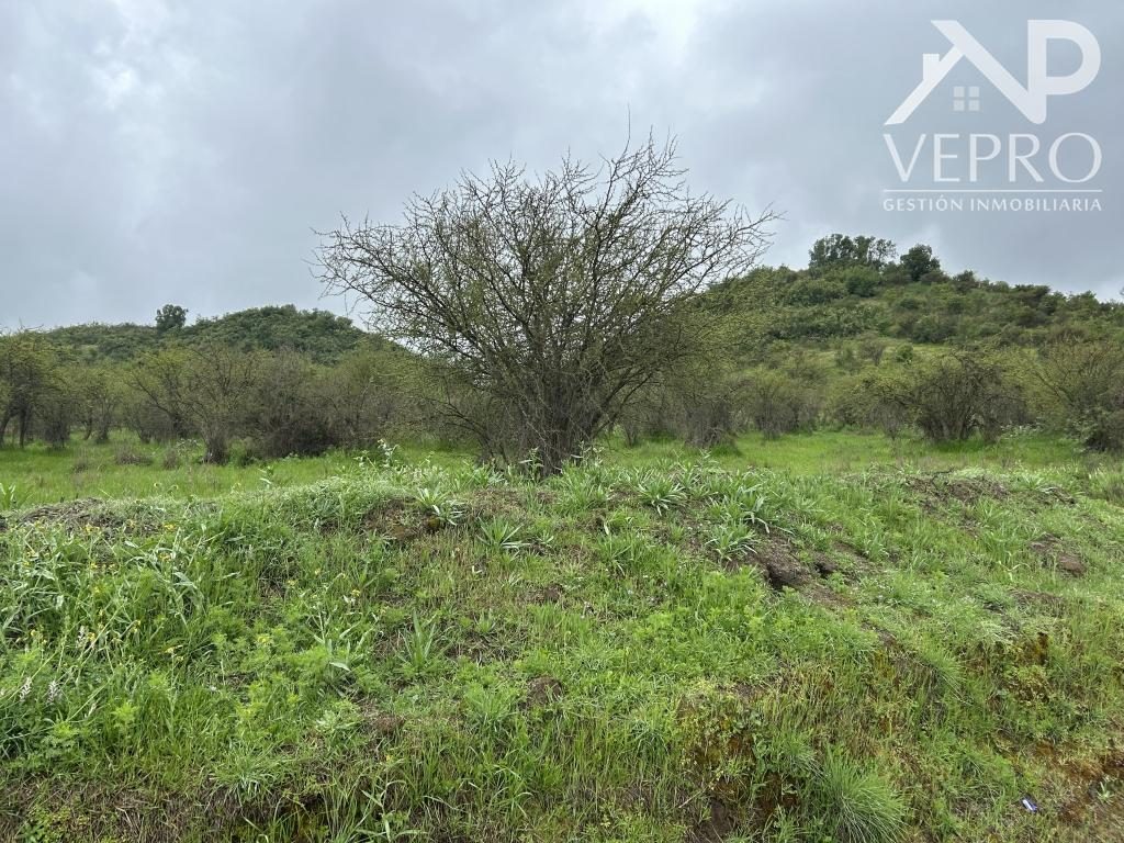 Terreno en venta en Casablanca — foto 2
