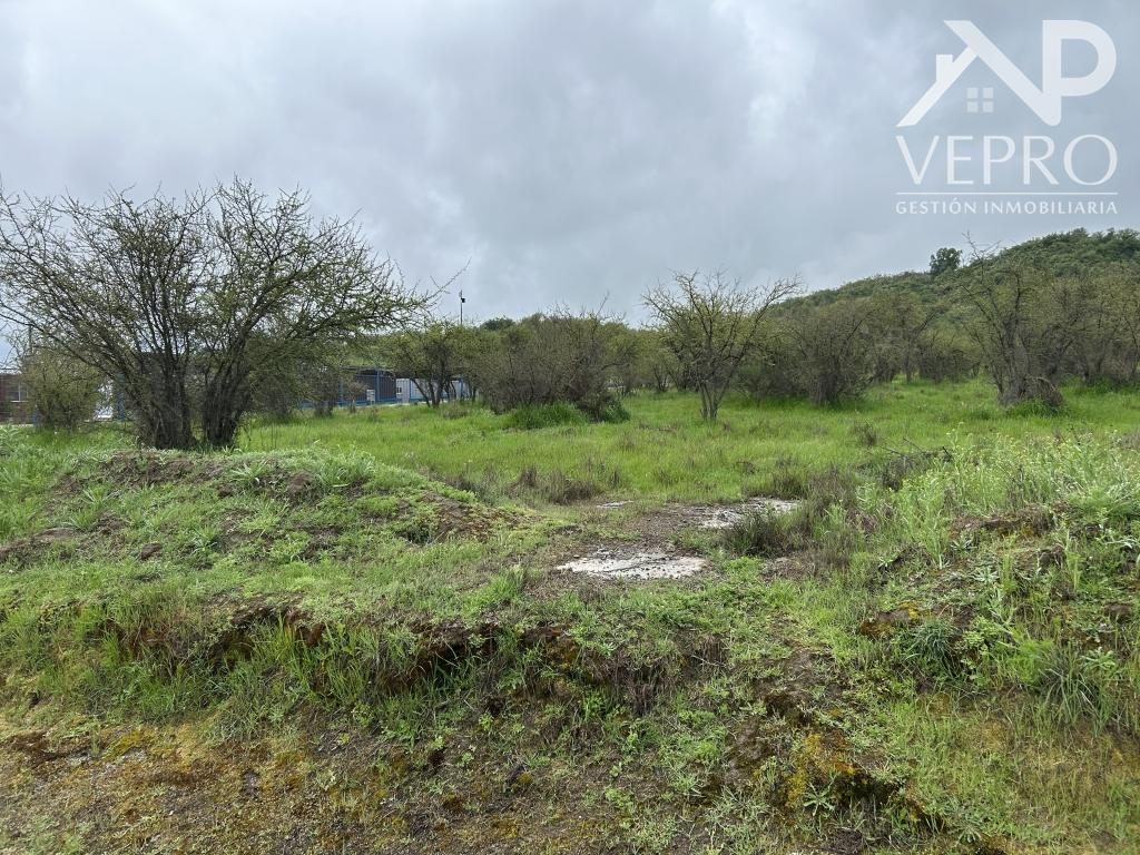 Terreno en venta en Casablanca — foto 3