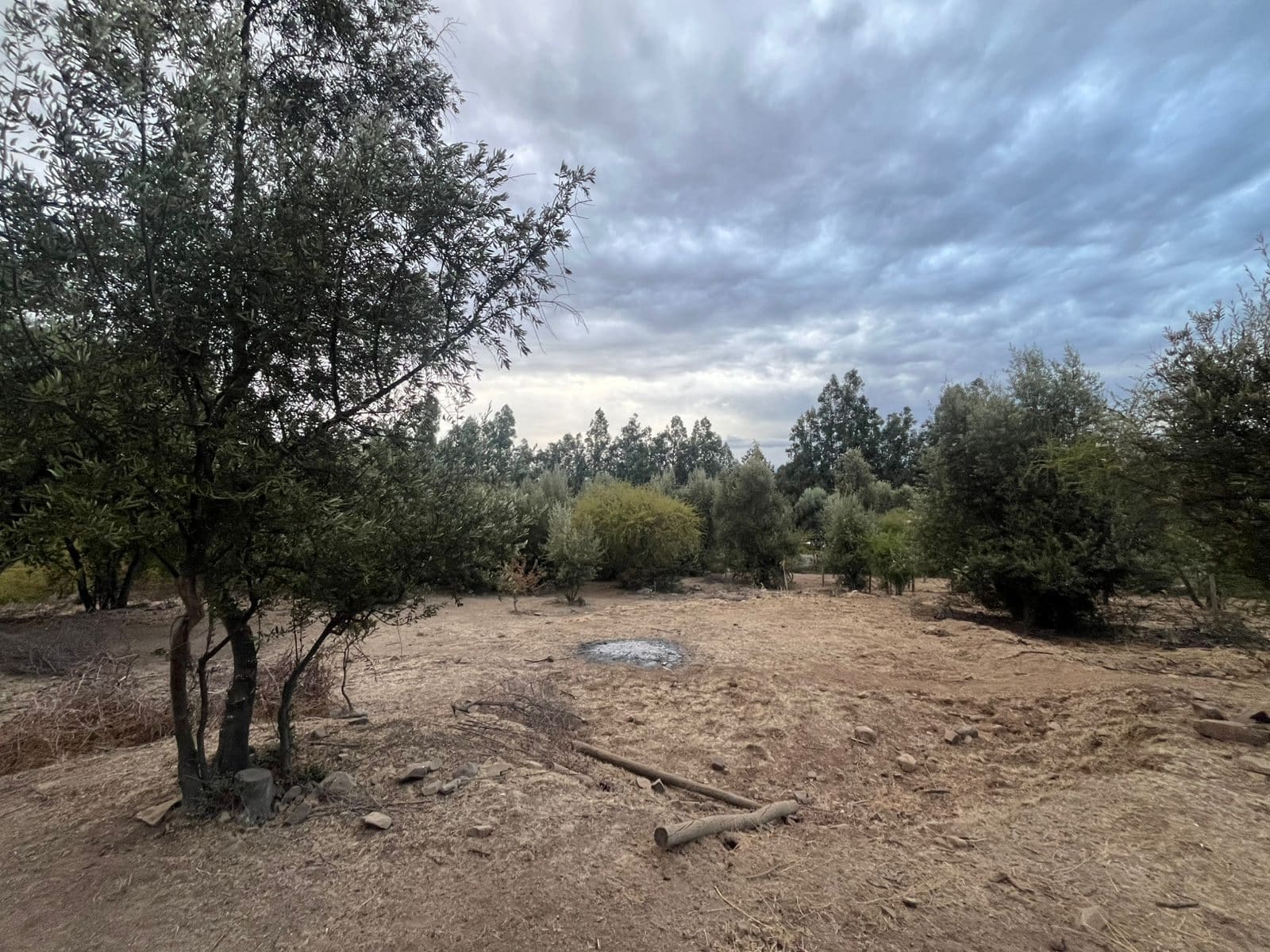 Parcela en venta en Rengo — foto 1