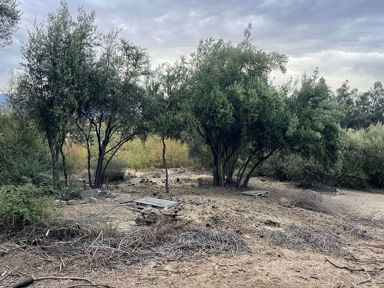 Parcela en venta en Rengo — foto 3