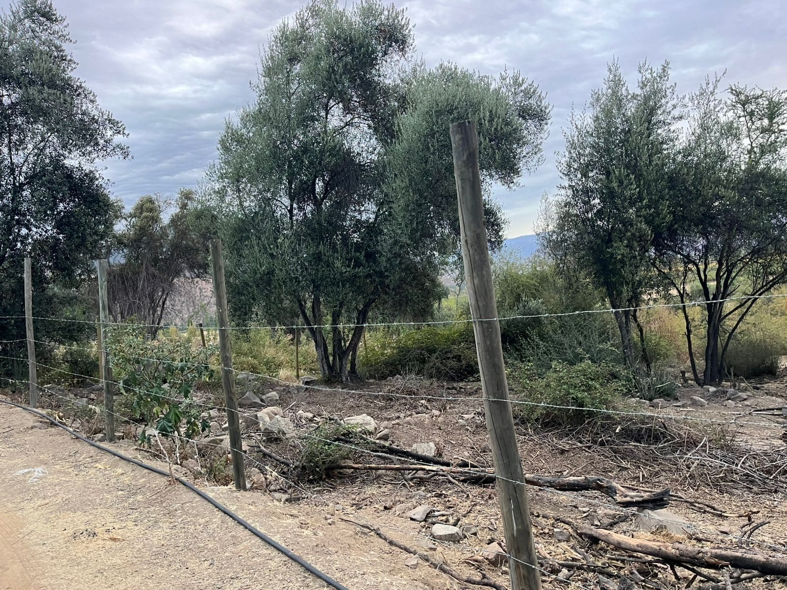 Parcela en venta en Rengo — foto 4