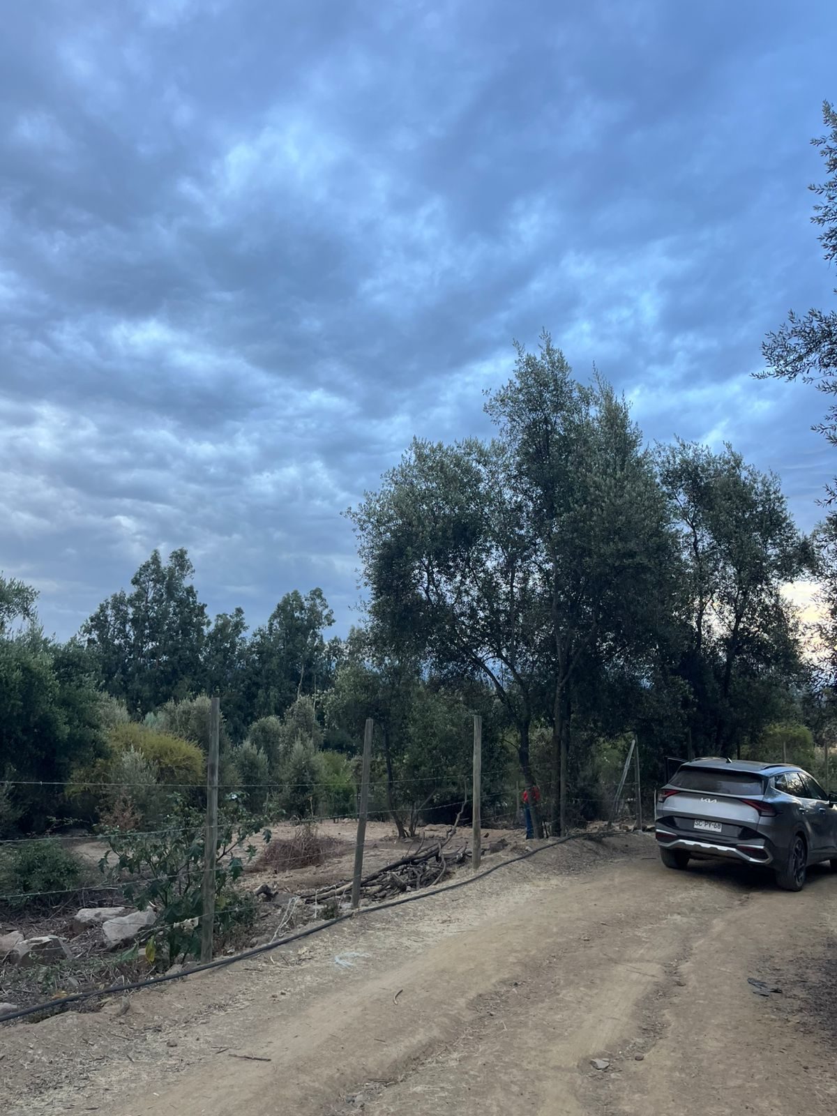 Parcela en venta en Rengo — foto 6