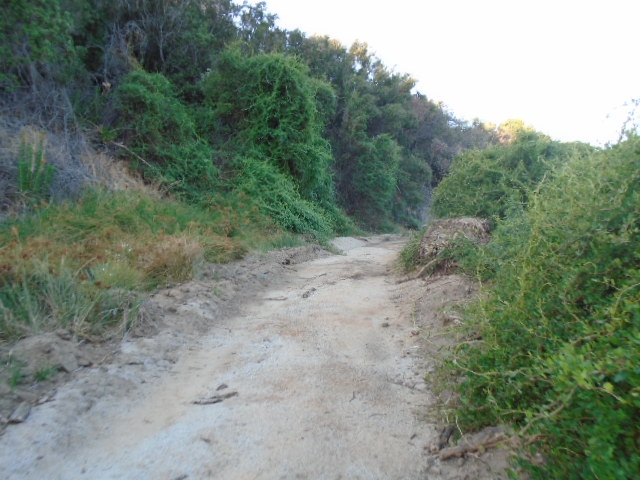 Parcela en venta en Curacaví — foto 4
