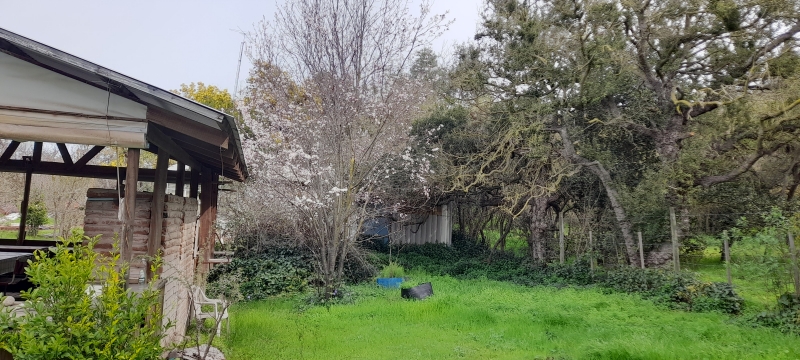 Parcela en venta en Casablanca — foto 8