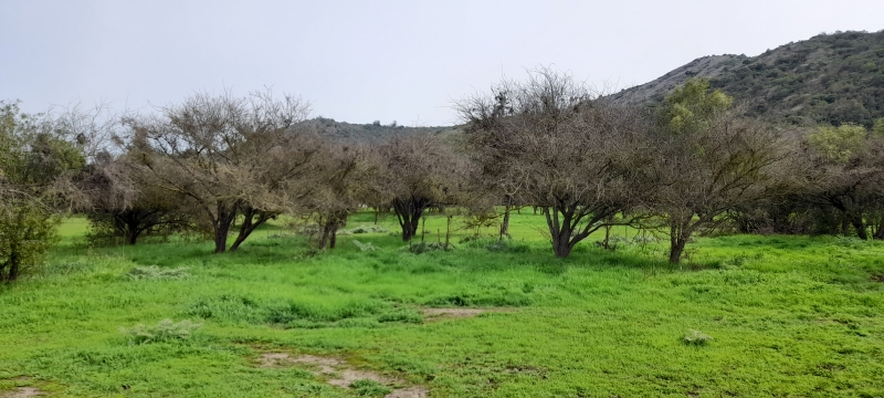 Parcela en venta en Casablanca — foto 10