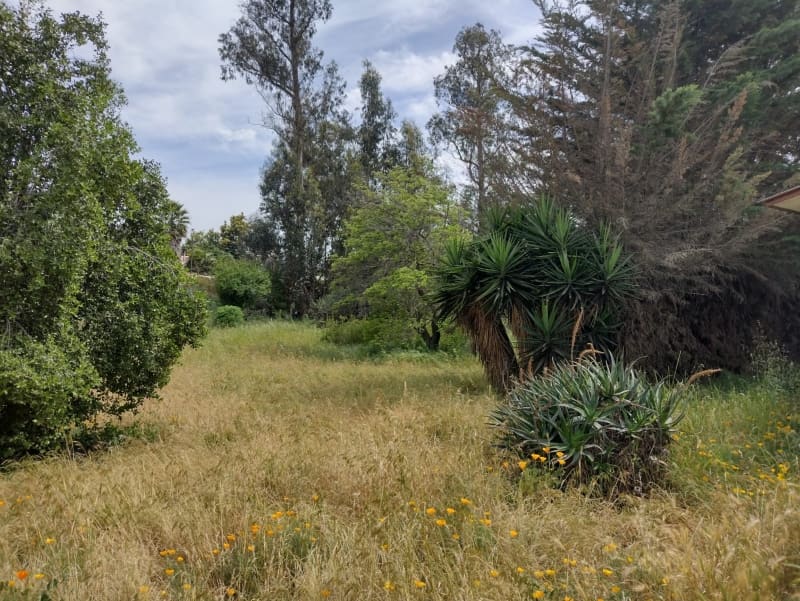 Terreno en venta en Villa Alemana — foto 8