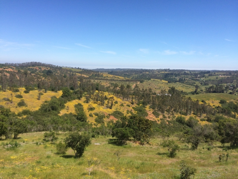 Parcela en venta en Algarrobo — foto 1