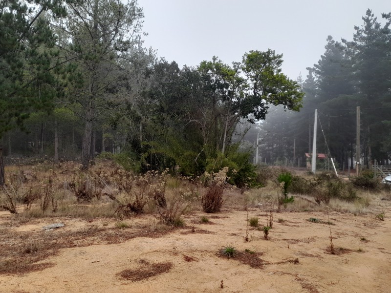 Parcela en venta en Casablanca — foto 2