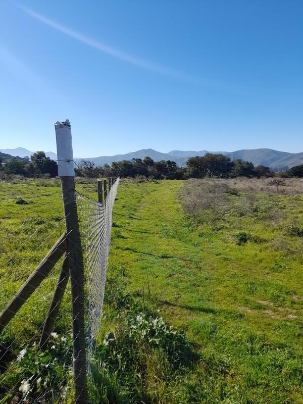 Parcela en venta en Casablanca — foto 10
